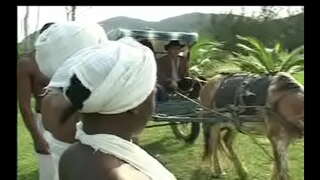 Ничек Неграс әйе сензала